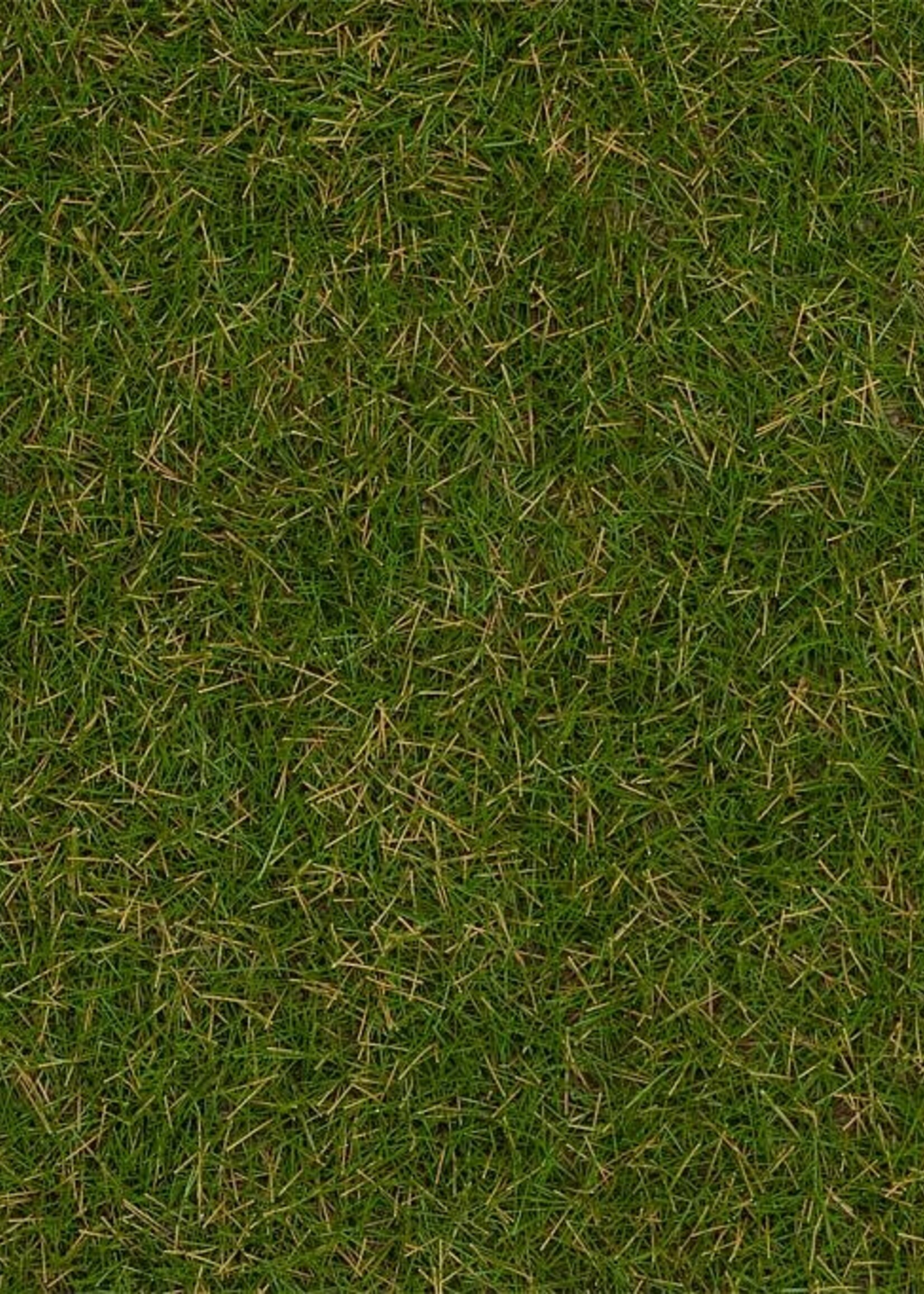 FALLER FALLER 170232 STROOIMATERIAAL WILDGRAS ZOMERWEIDE 4MM 80 G