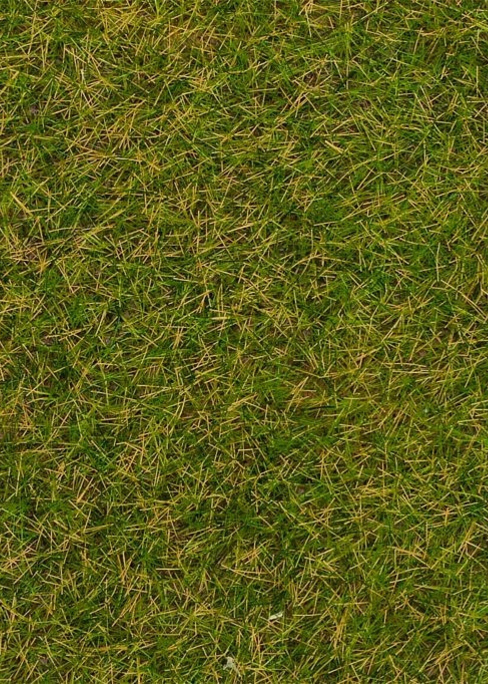 FALLER FALLER 170256 STROOIMATERIAAL WILDGRAS VROEGE ZOMER 4MM 1KG