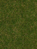 FALLER FALLER 170257 STROOIMATERIAAL WILDGRAS ZOMERWEIDE 4MM 1KG