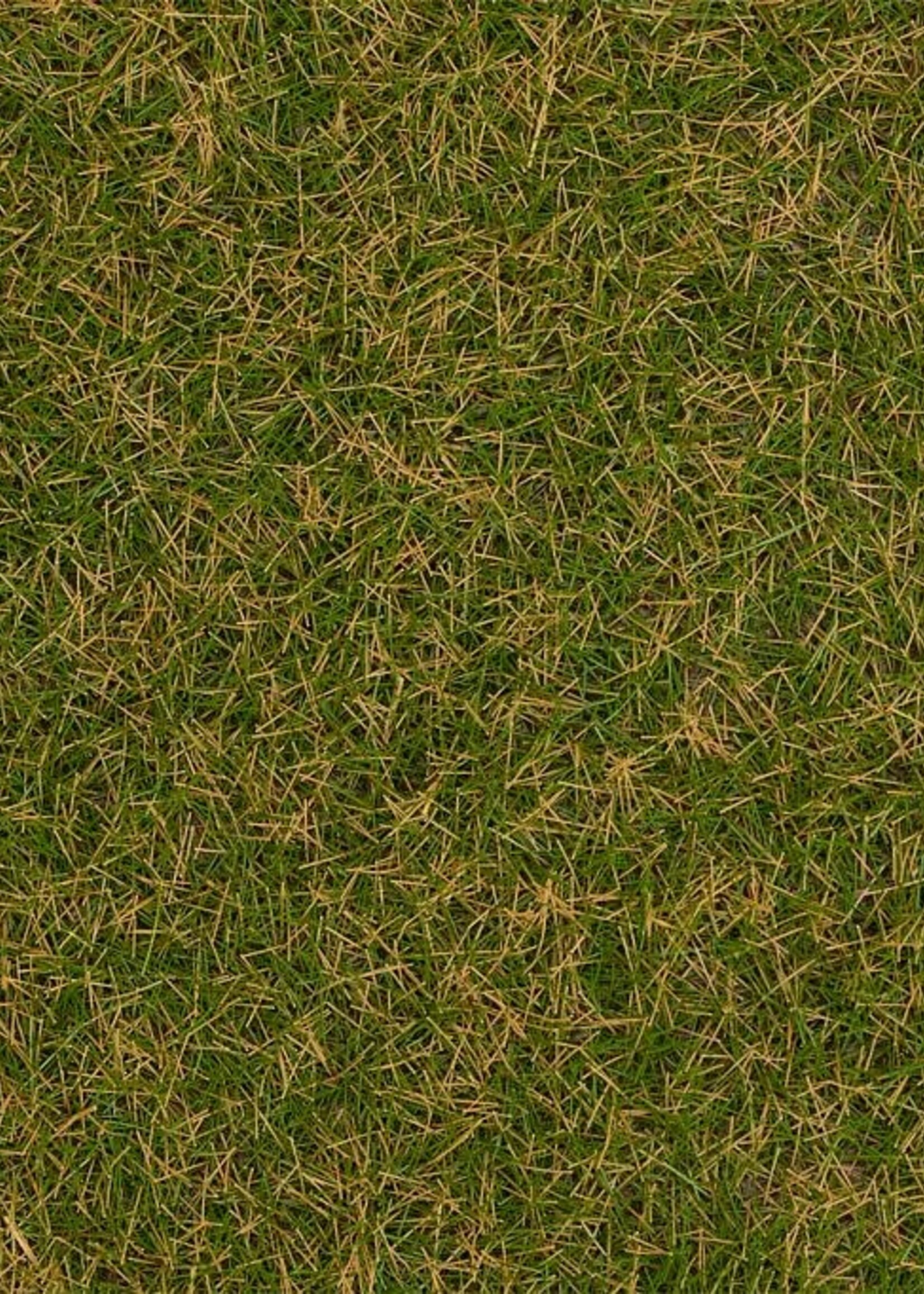 FALLER FALLER 170259 STROOIMATERIAAL WILDGRAS BRUINGROEN 4MM 1KG