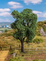 FALLER FALLER 181704 BOOM ECHTE ACACIA