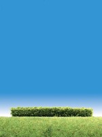 FALLER FALLER 181398 3 HEGGEN LICHTGROEN