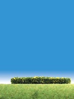 FALLER FALLER 181399 3 HEGGEN GEEL BLOEIEND