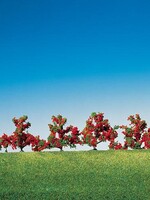 FALLER FALLER 181476 6 STRUIKEN ROOD BLOEIEND