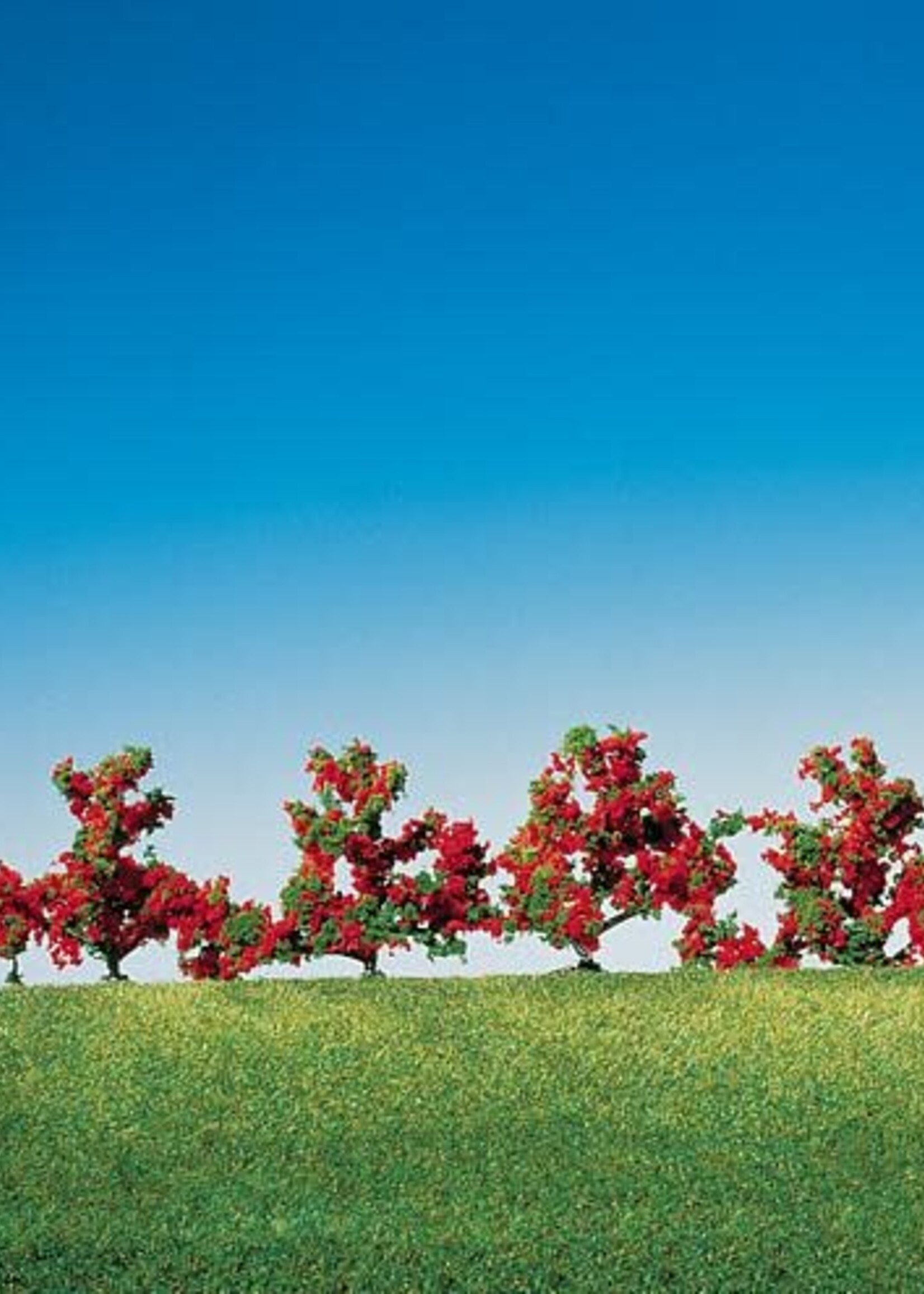 FALLER FALLER 181476 6 STRUIKEN ROOD BLOEIEND