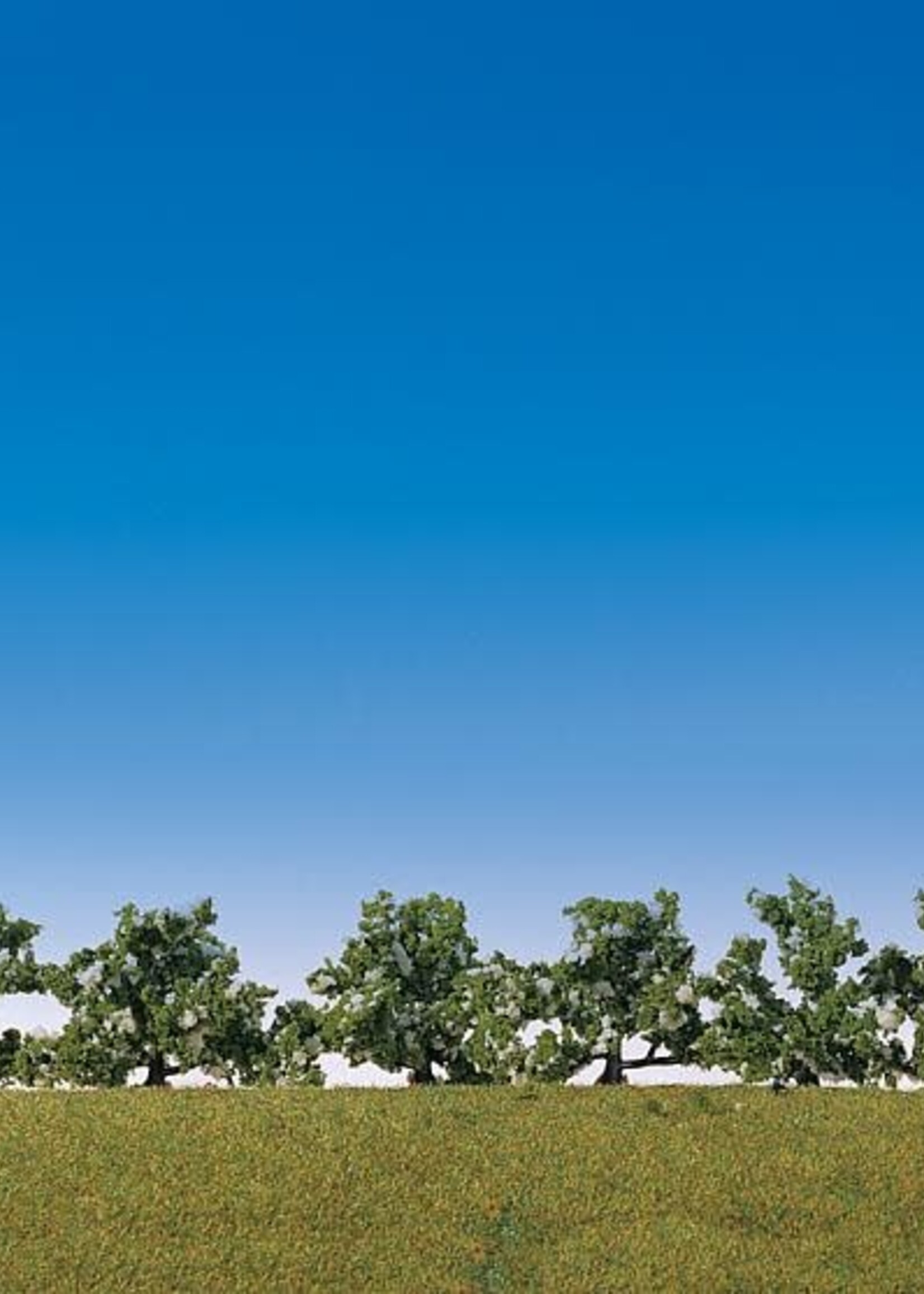 FALLER FALLER 181478 6 STRUIKEN WIT BLOEIEND