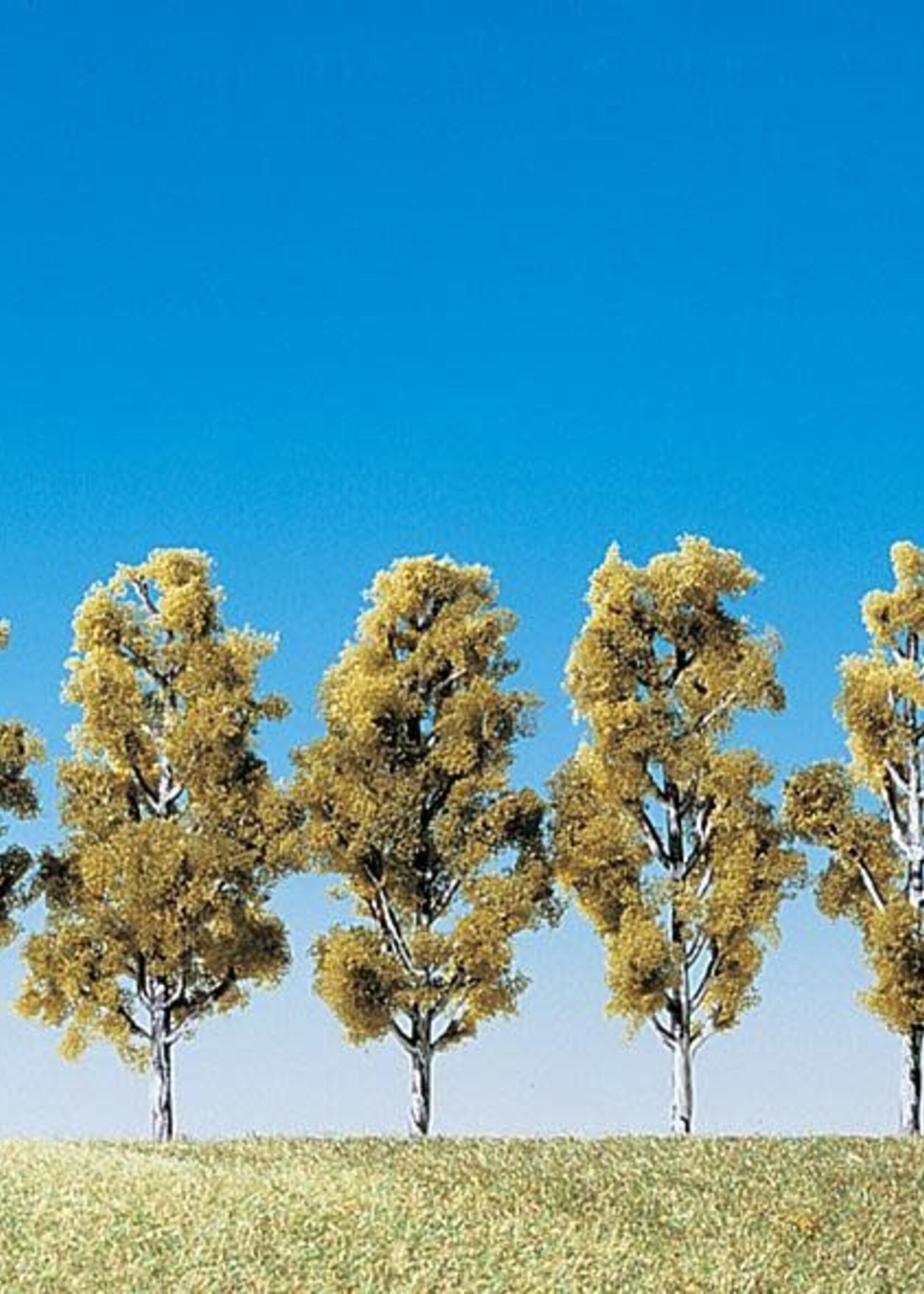 FALLER FALLER 181486 5 BERKEN