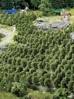 FALLER FALLER 181490 36 WIJNSTOKKEN