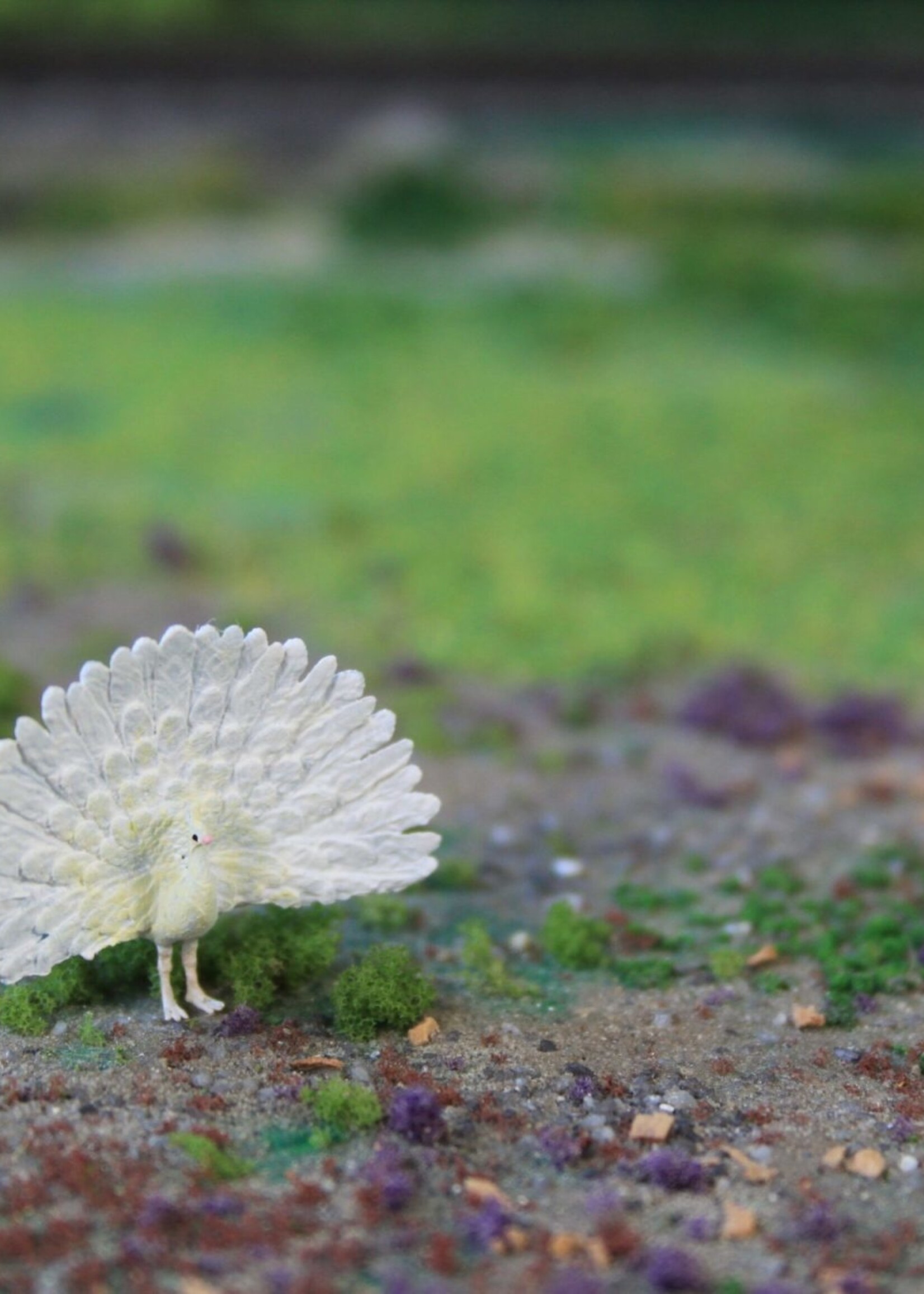 Van Petegem Scenery Van Petegem Scenery NM05 Witte Pauw (1:160)