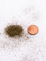 RTS Greenkeeper RTS 71840  Nano-Turf burnt gras - 15 g Beutel