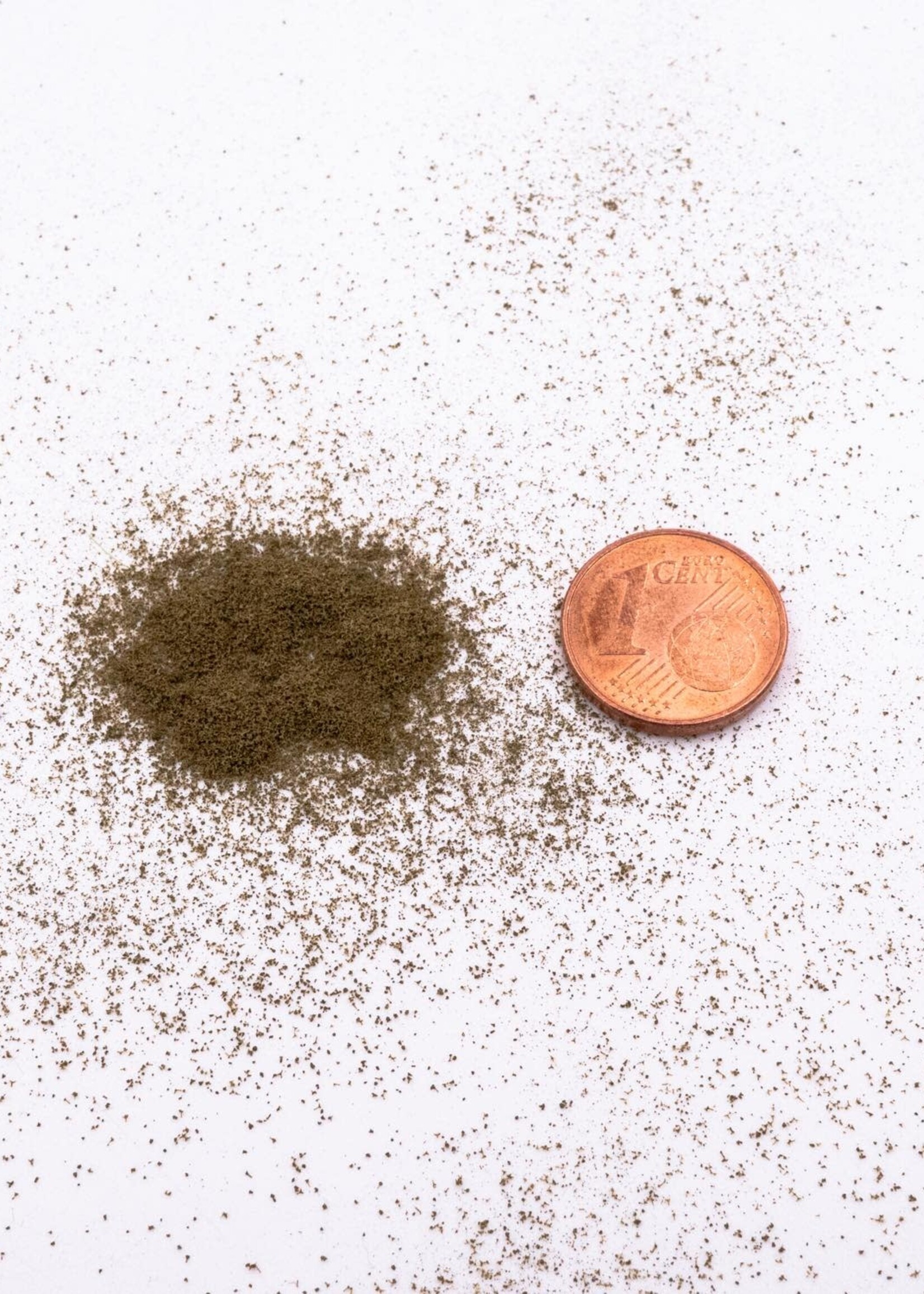 RTS Greenkeeper RTS 71840  Nano-Turf burnt gras - 15 g Beutel