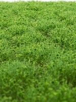 RTS Greenkeeper RTS 83105  Unkrautbüschel Frühling 2-12 mm, geschichtet 148 x 210 mm