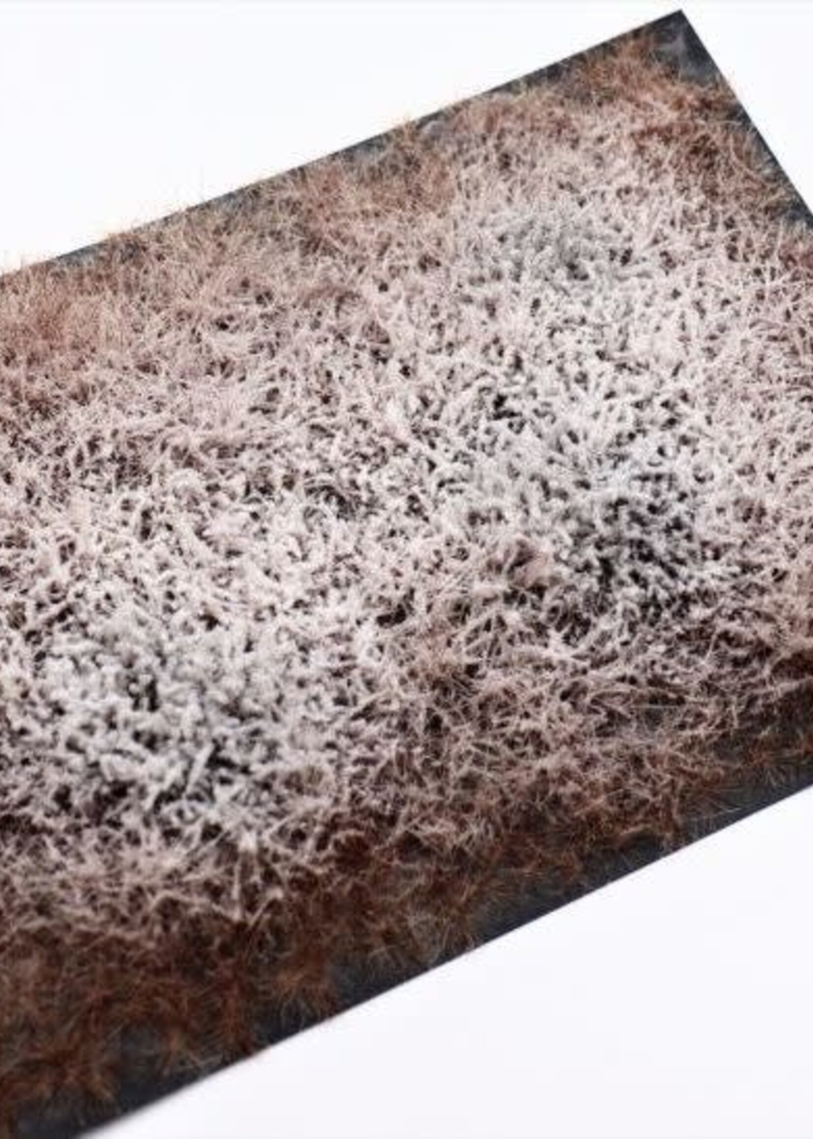 RTS Greenkeeper RTS 95070  Sträucher Winter / Schnee 148x210 mm