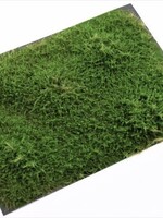 RTS Greenkeeper RTS 95500  Sträucher Wacholder grün 148x210 mm