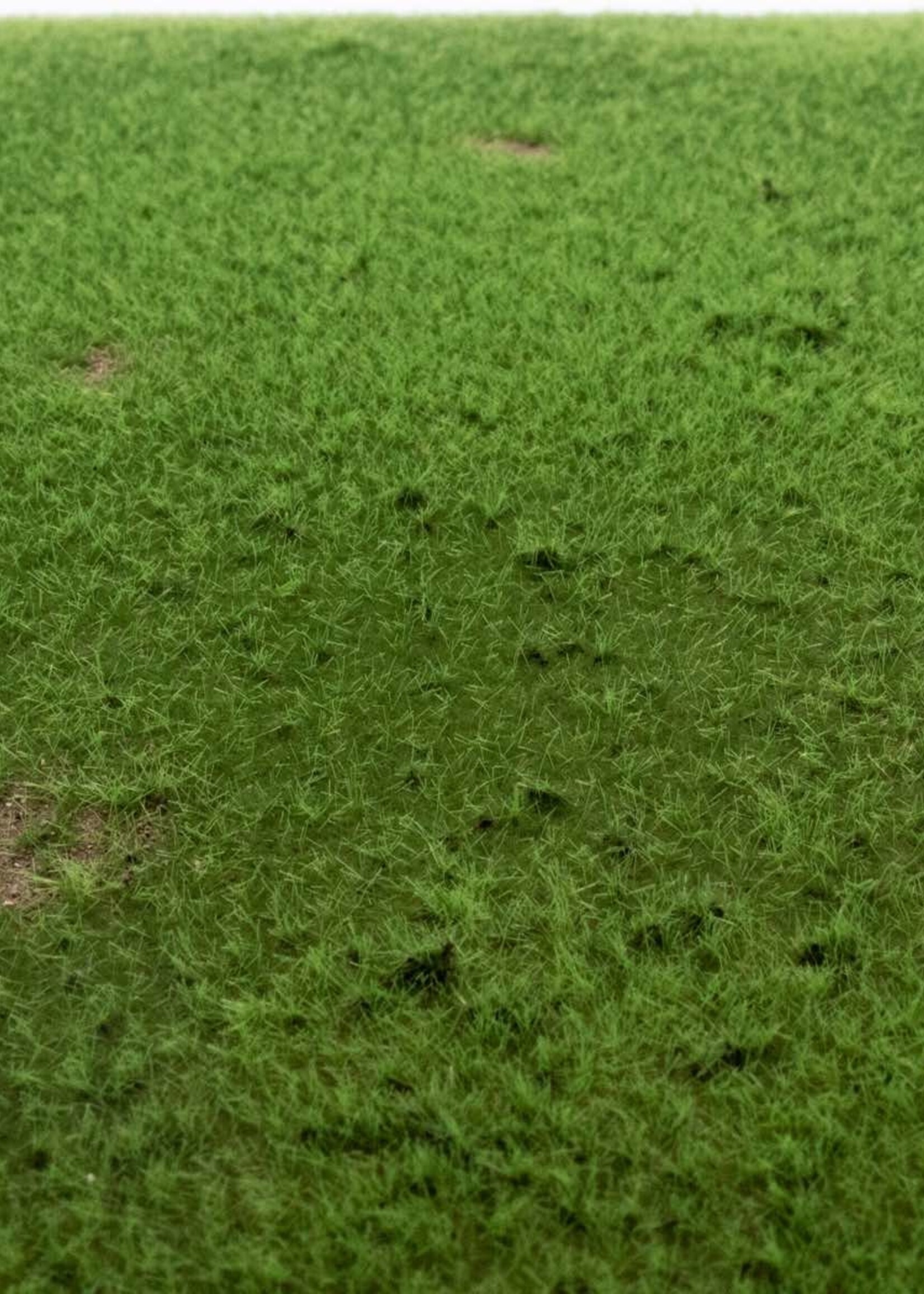 RTS Greenkeeper RTS 92532-3  Grasmatten Viehweide 420x297 mm Spur H0/0