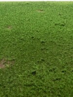 RTS Greenkeeper RTS 92531-3  Grasmatten Viehweide 420x297 mm Spur N/Z/TT