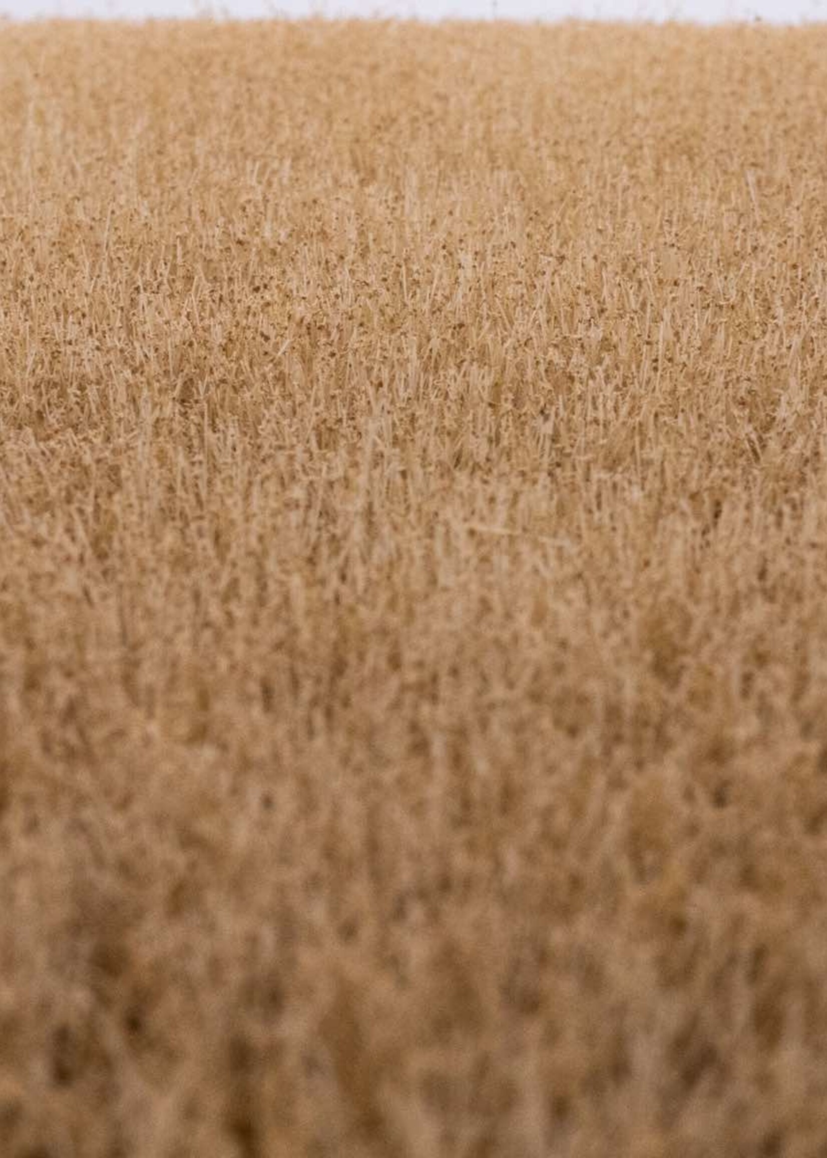 RTS Greenkeeper RTS 92521-3  Grasmatten Kornfeld Sommer 420x297 mm Spur N/Z/TT