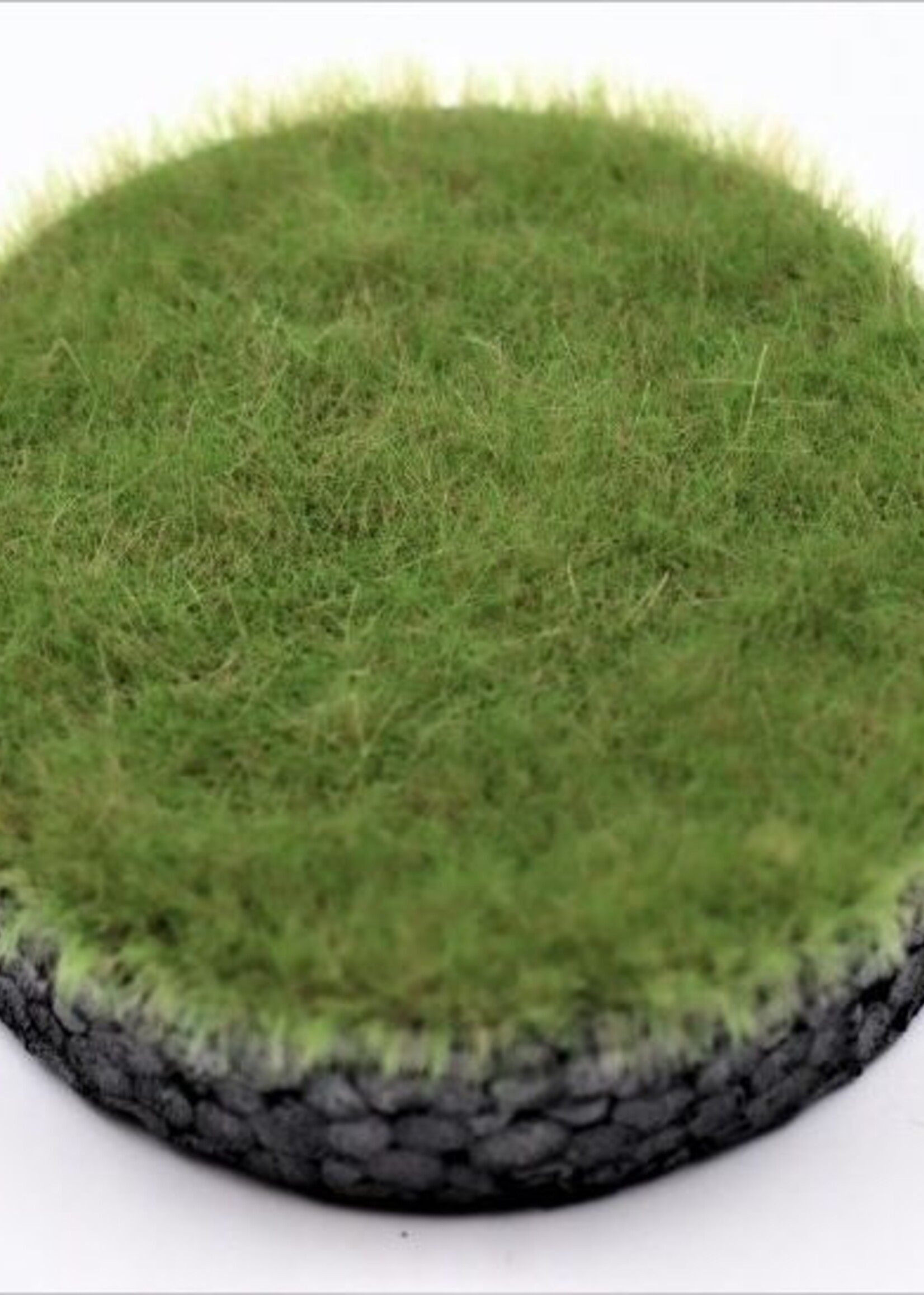 RTS Greenkeeper RTS 90806-1  Gras-Flock Bergwiese 6 mm - 50 g Beutel