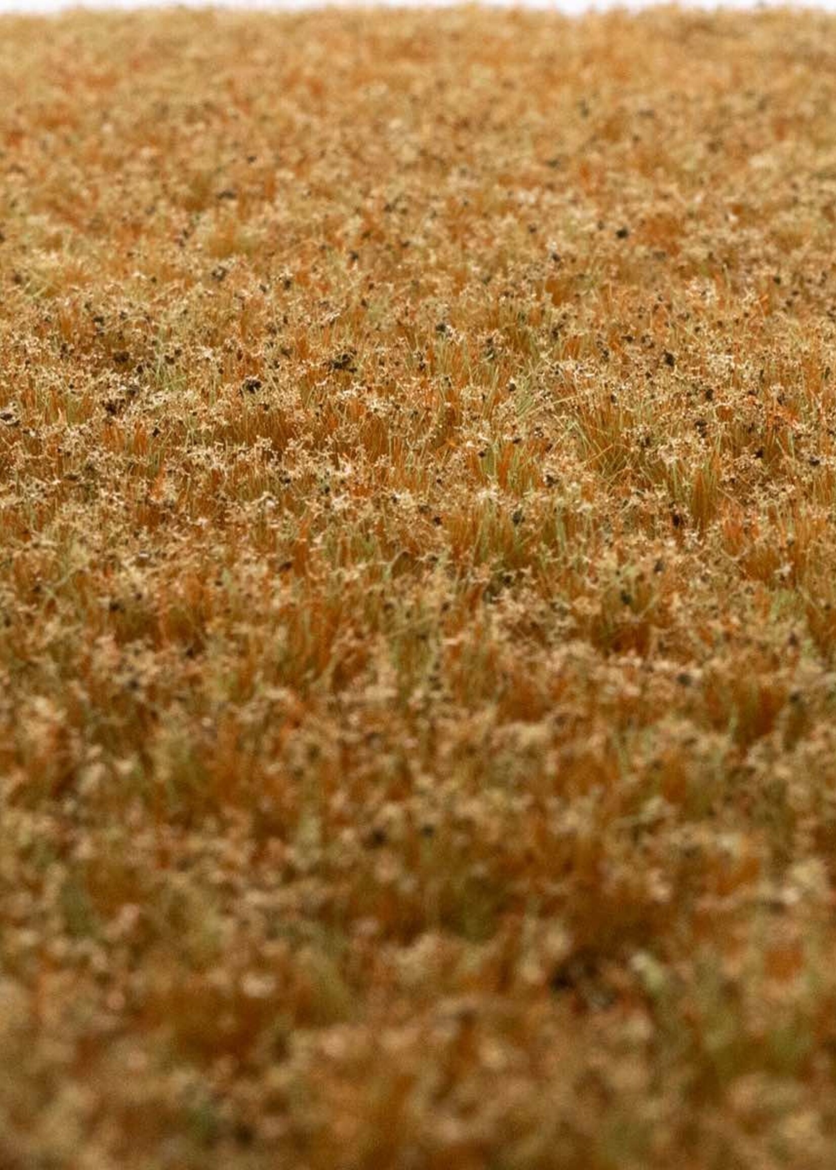 RTS Greenkeeper RTS 83155  Unkrautbüschel Wintergras 2-12, geschichtet 148 x 210 mm