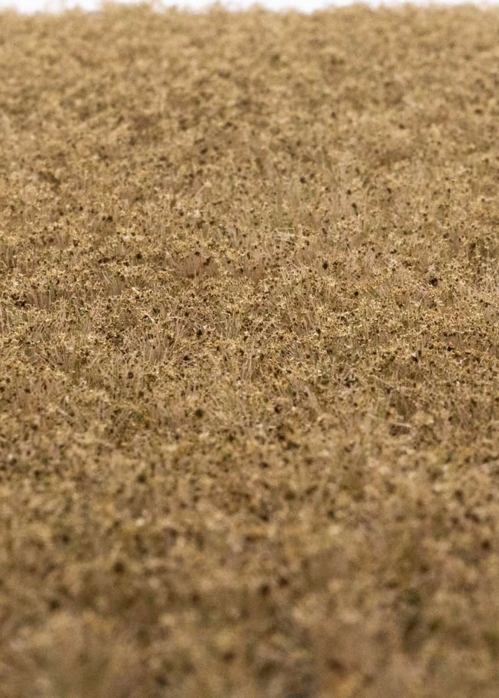 RTS Greenkeeper RTS 83144  Unkrautbüschel Spätherbst 2-10 mm, geschichtet 148 x 210 mm