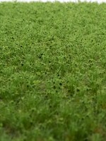 RTS Greenkeeper RTS 83112  Unkrautbüschel Frühsommer 2-6 mm, geschichtet 148 x 210 mm
