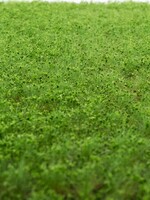 RTS Greenkeeper RTS 83102  Unkrautbüschel Frühling 2-6 mm, geschichtet 148 x 210 mm