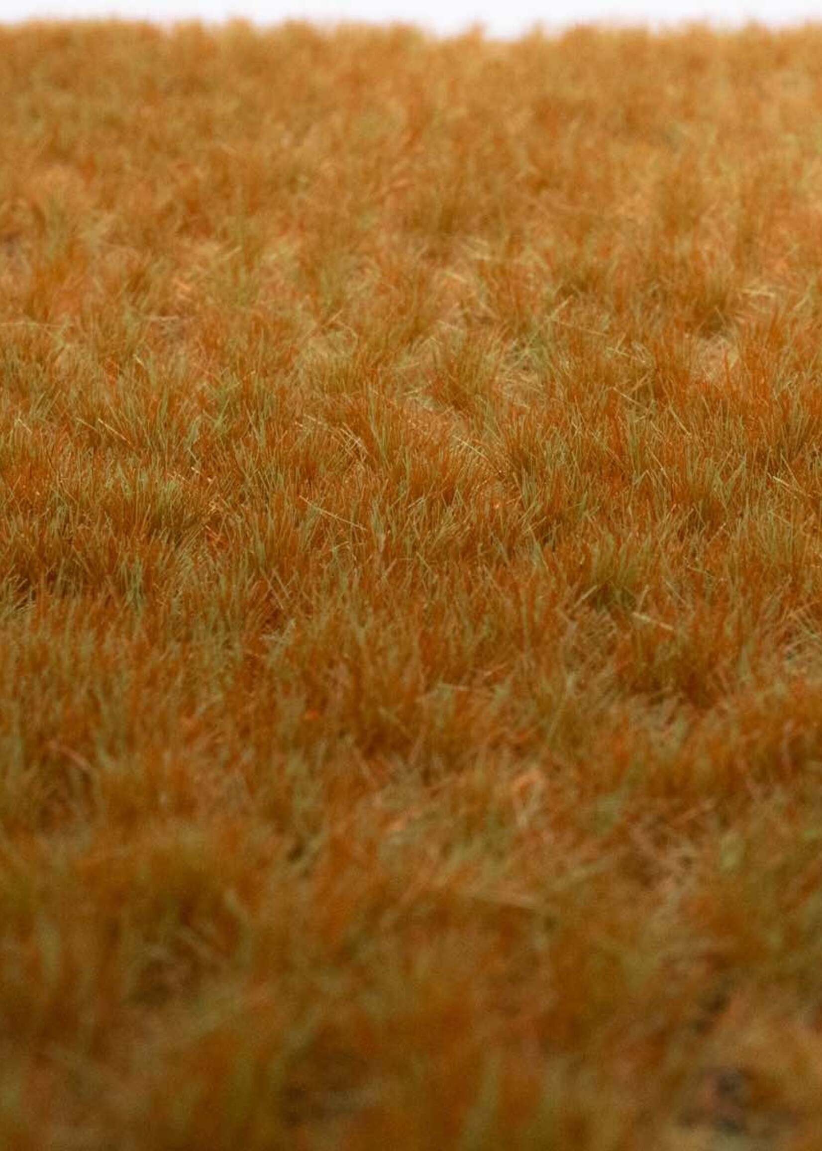 RTS Greenkeeper RTS 82154  Grasbüschel Wintergras 2-10, geschichtet 148 x 210 mm