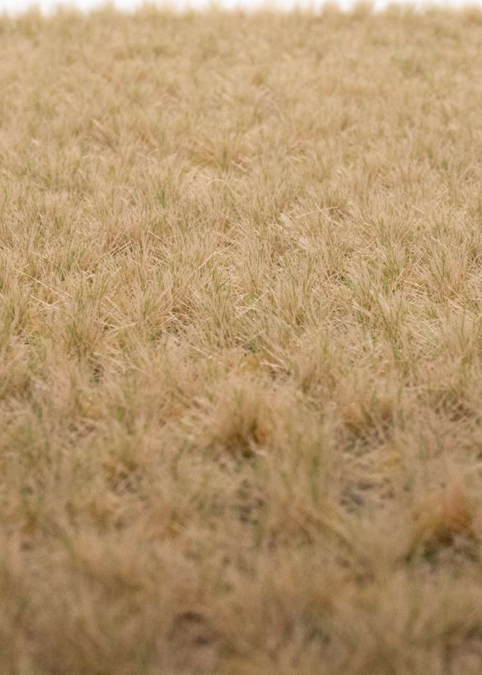 RTS Greenkeeper RTS 82142  Grasbüschel Spätherbst 2-6 mm, geschichtet 148 x 210 mm