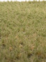 RTS Greenkeeper RTS 82135  Grasbüschel Frühherbst 2-12 mm, geschichtet 148 x 210 mm