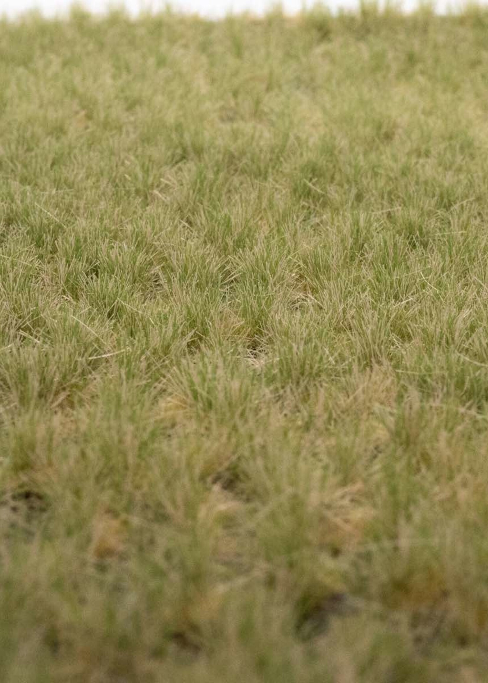 RTS Greenkeeper RTS 82135  Grasbüschel Frühherbst 2-12 mm, geschichtet 148 x 210 mm