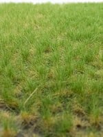RTS Greenkeeper RTS 82112  Grasbüschel Frühsommer 2-6 mm, geschichtet 148 x 210 mm