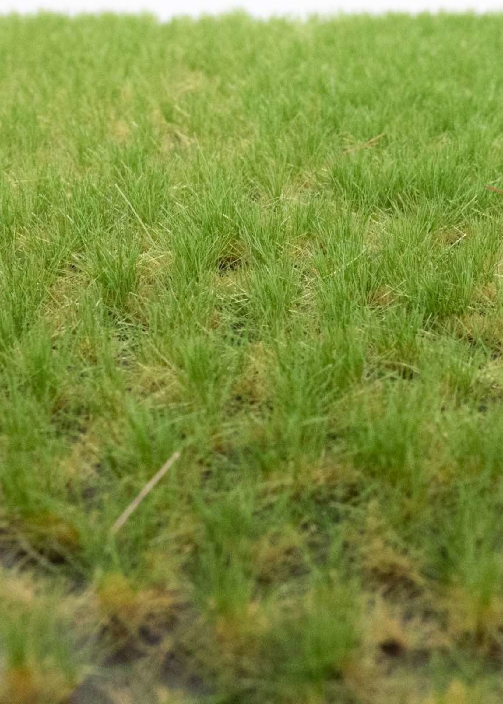 RTS Greenkeeper RTS 82112  Grasbüschel Frühsommer 2-6 mm, geschichtet 148 x 210 mm