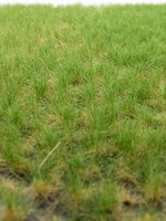 RTS Greenkeeper RTS 82111  Grasbüschel Frühsommer 2-4 mm, geschichtet 148 x 210 mm
