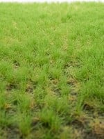 RTS Greenkeeper RTS 82104  Grasbüschel Frühling 2-10 mm, geschichtet 148 x 210 mm