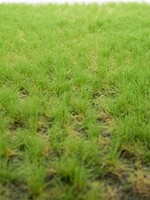RTS Greenkeeper RTS 82102  Grasbüschel Frühling 2-6 mm, geschichtet 148 x 210 mm