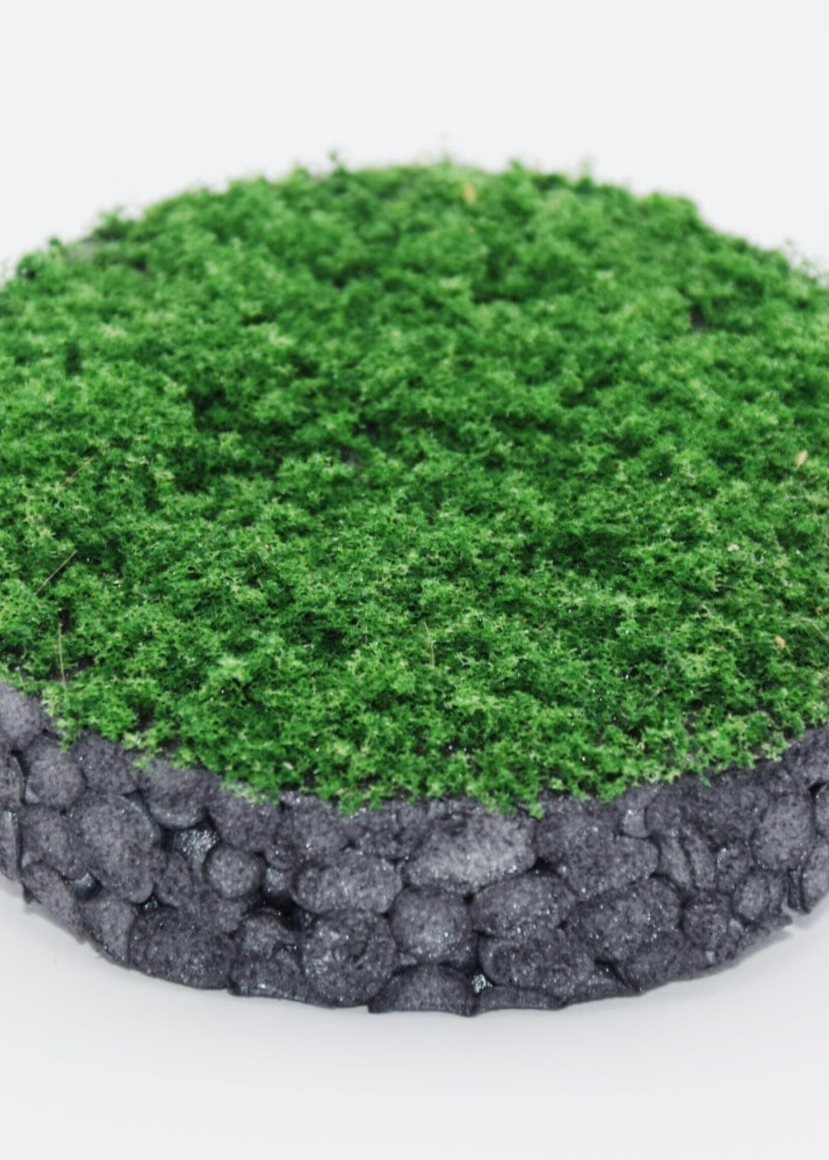 RTS Greenkeeper RTS 71082-0  Turf waldgrün - 350 ml Shaker