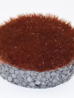 RTS Greenkeeper RTS 70512-1  Gras-Flock braun 12 mm - 50 g Beutel