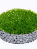 RTS Greenkeeper RTS 70200-1  Gras-Flock Sommer 0,5 mm - 50 g Beutel