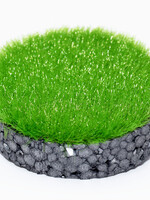 RTS Greenkeeper RTS 70104-1  Gras-Flock Frühling 4 mm - 50 g Beutel