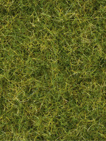 NOCH NOCH 7076 Master-Grasmischung “Sommerwiese” G,0,H0,TT,N