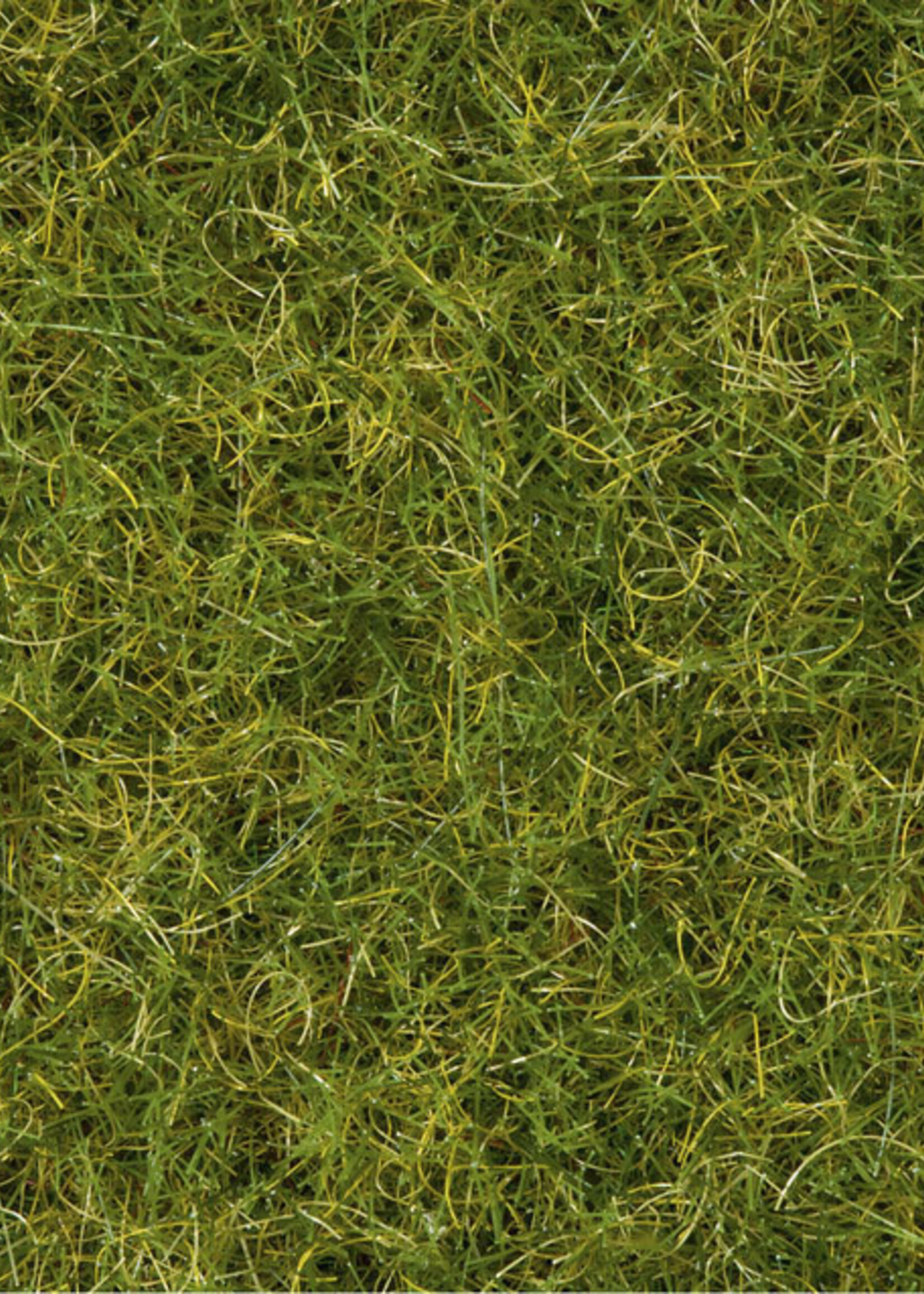 NOCH NOCH 7076 Master-Grasmischung “Sommerwiese” G,0,H0,TT,N