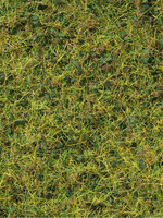 NOCH NOCH 7077 Master-Grasmischung “Kuhweide” G,0,H0,TT,N