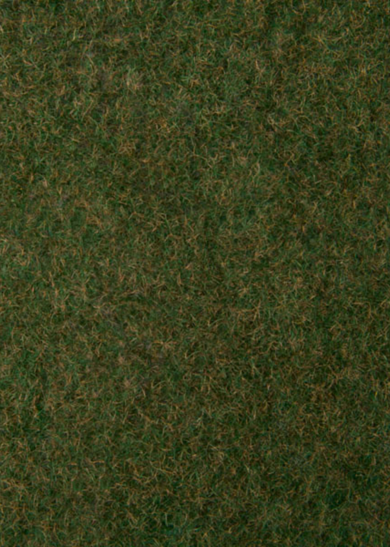 NOCH NOCH 7281 Wildgras-Foliage G,0,H0,TT,N,Z