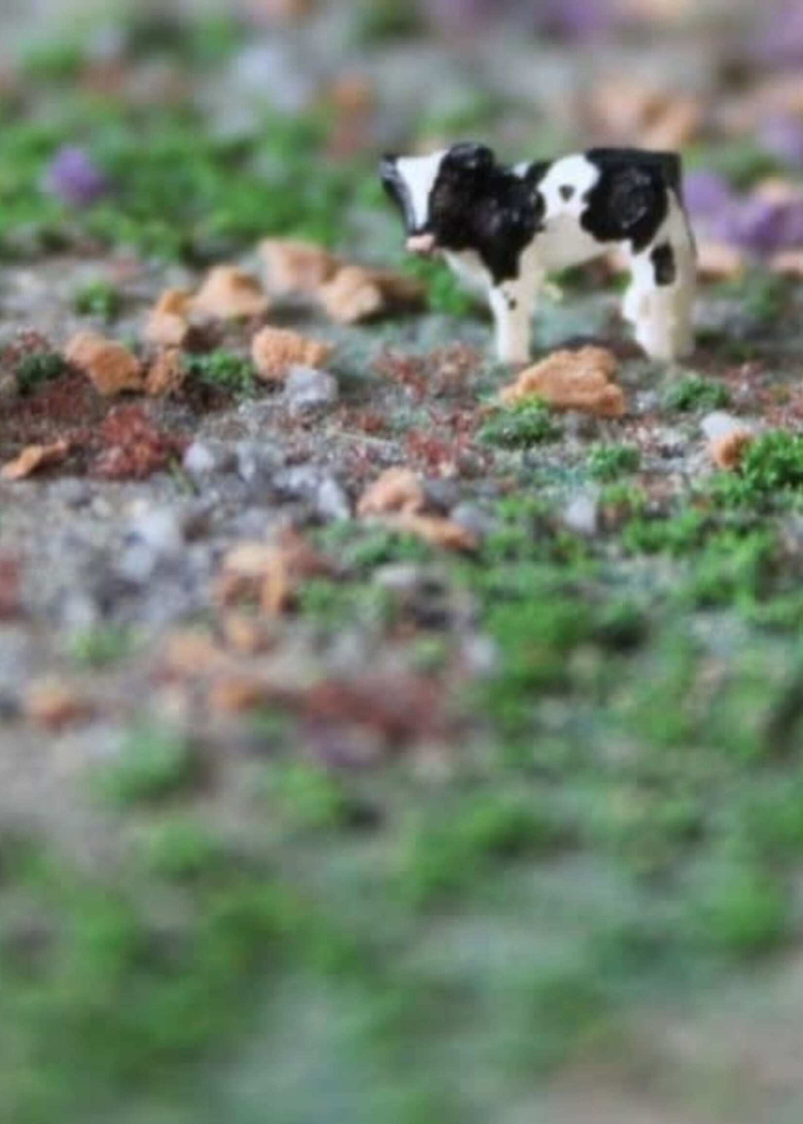 Van Petegem Scenery Van Petegem Scenery NVPS 207  Kalfjes Holstein zwartbont (schaal N)