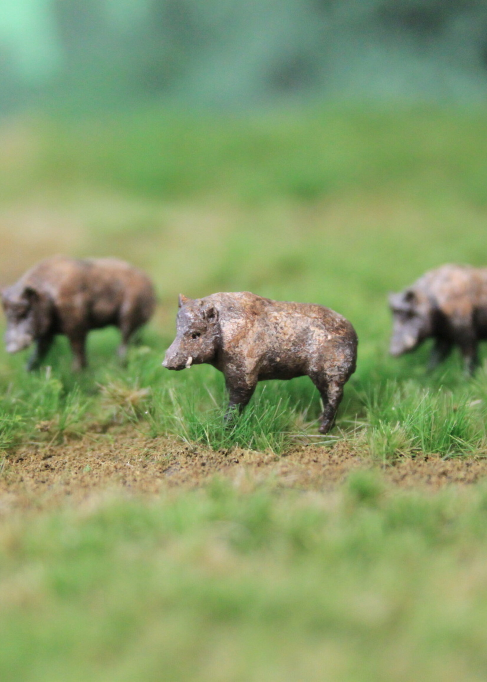 Van Petegem Scenery Van Petegem Scenery NK01 Everzwijn (1:160)