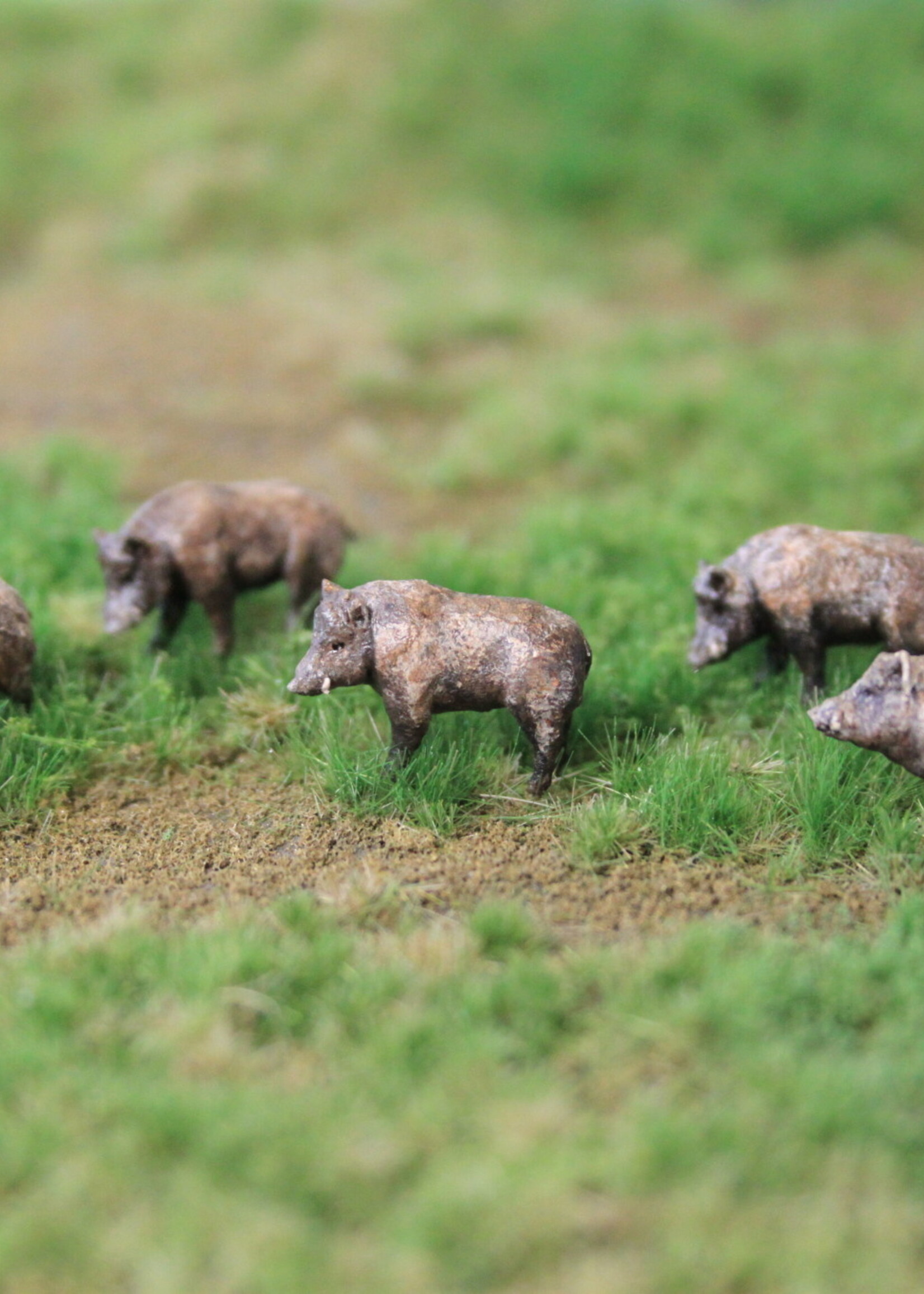 Van Petegem Scenery Van Petegem Scenery NK01 Everzwijn (1:160)