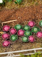 FALLER FALLER 181263 1/87 10 WITTE-EN 10 RODEKOLEN