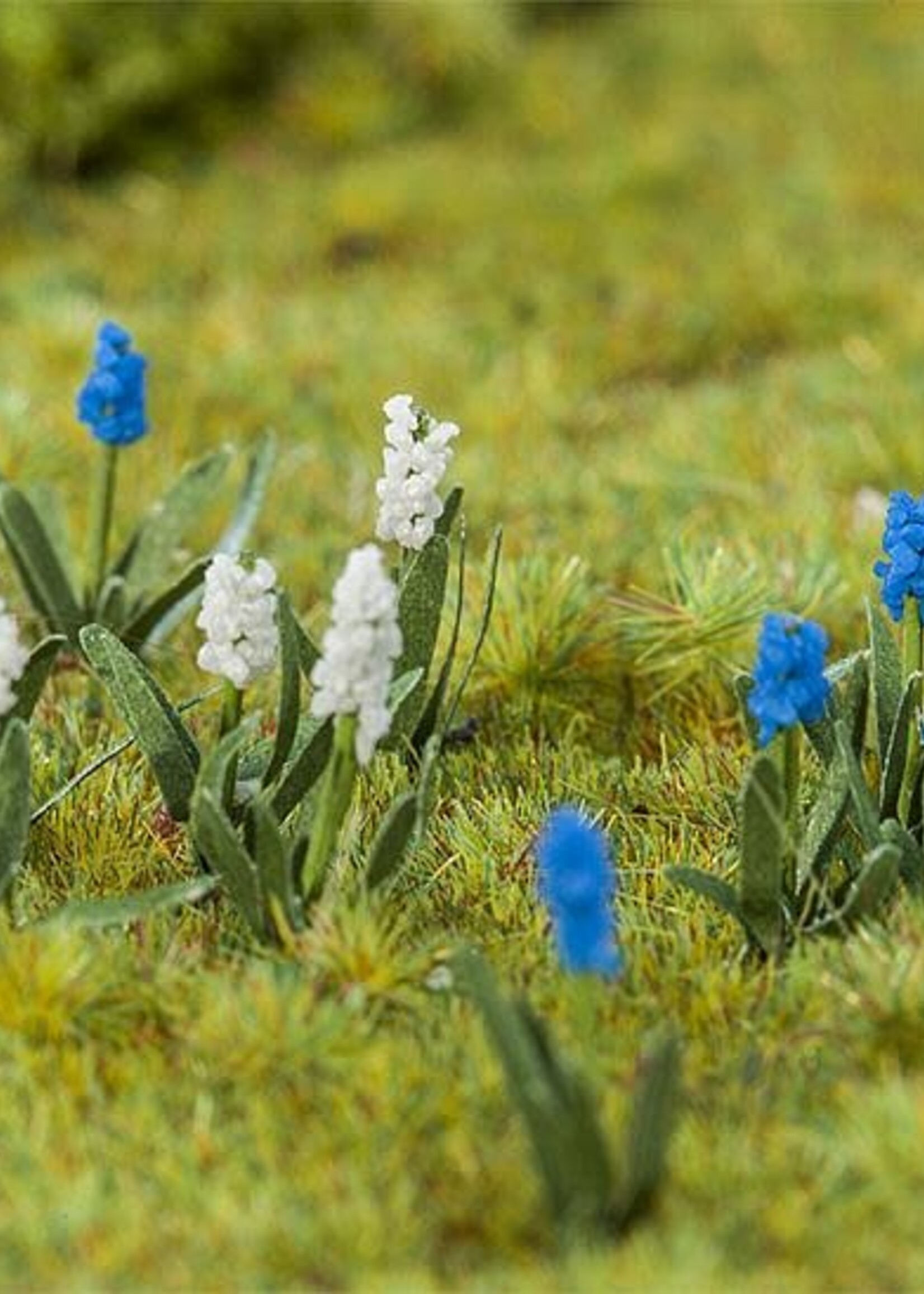 FALLER FALLER 181265 1/87 32 DRUIFHYACINTEN