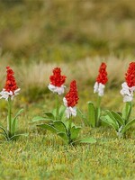 FALLER FALLER 181267 1/87 32 ORCHIDEEPRIMULA