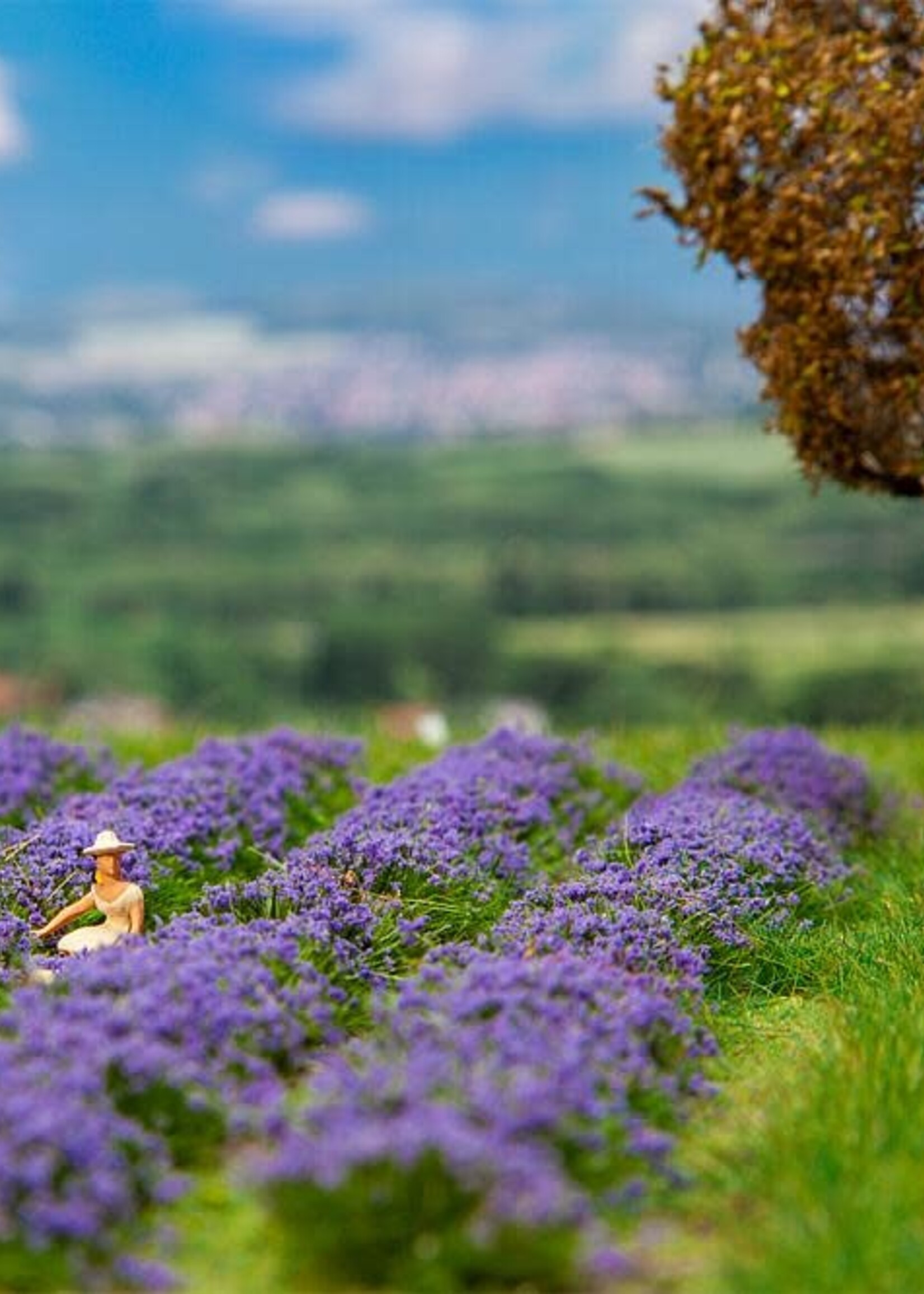 FALLER FALLER 181279 1/87 LAVENDELVELD